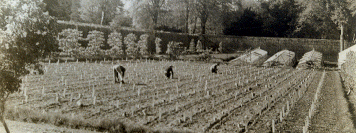 UN POTAGER À TRÉVAREZ, Domaine de Trévarez, à partir du 10 mai