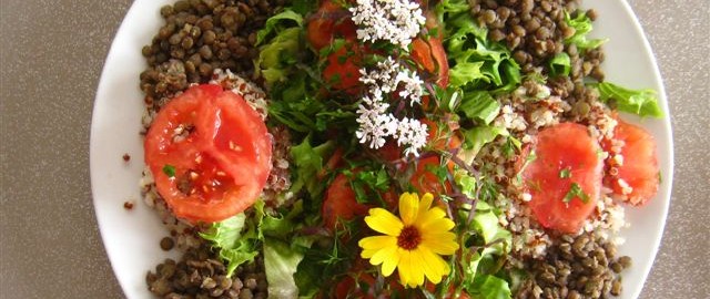 ATELIER CUISINE ET POTAGER À L'ABBAYE DU RELEC