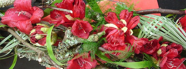 DÉLICATESSES, démonstration d'art floral par Carine Peyrichon, le 10 mai au Domaine de Trévarez