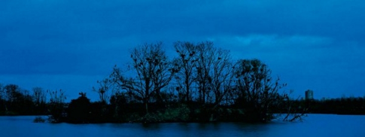 LE LAC DES CYGNES, cinéma en plein air, mardi 22 août au Manoir de Kernault