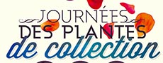 Affiche " Journées des plantes de collection" (2013)