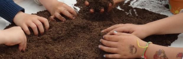 LES MAINS DANS LA TERRE