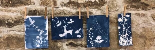 PAYSAGE EN CYANOTYPE