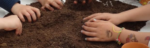 LES MAINS DANS LA TERRE