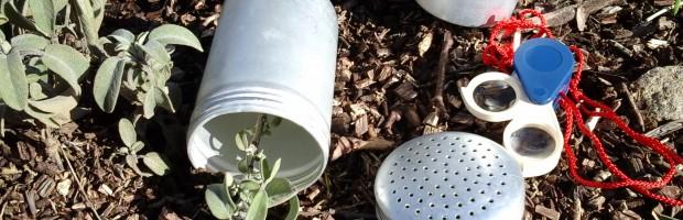 QUAND LA BOTANIQUE PARLE À NOS SENS