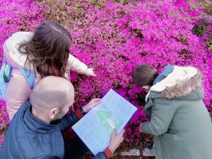Gardez le cap : les rhododendrons