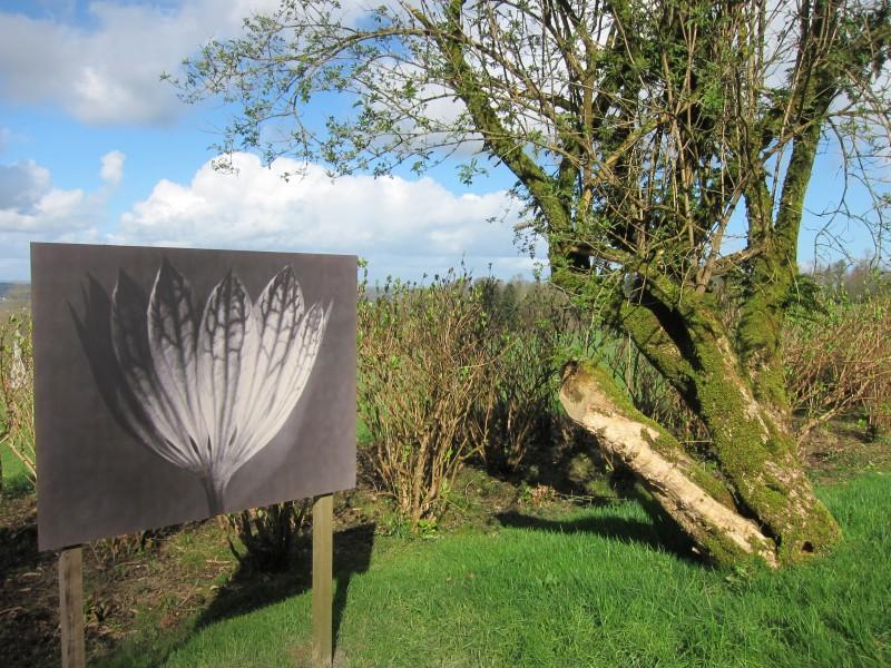 La nature dans l'objectif
