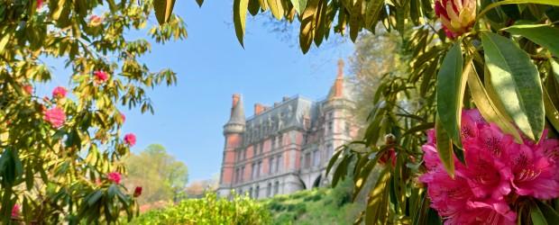 Les rhodos, saison botanique #2026