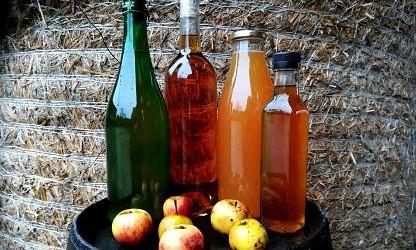 &Agrave; l'heure du go&ucirc;ter mus&eacute;al ! # 2026