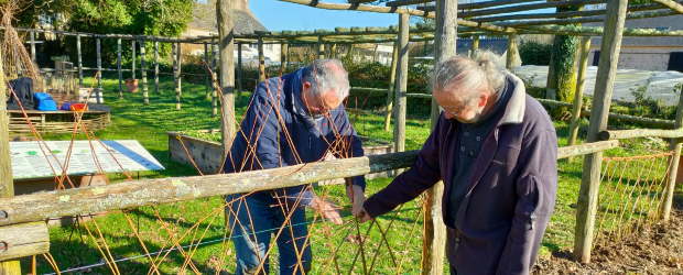 AU PIED DE MON ARBRE, EN PRATIQUE #1 : TRESSER L’OSIER VIVANT