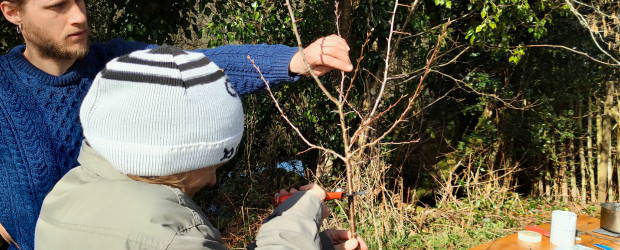 AU PIED DE MON ARBRE, EN PRATIQUE #2 :  BOUTURAGE ET GREFFE DE FRUITIERS
