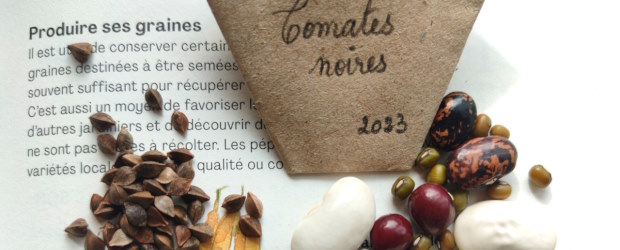 ATELIER Récolte de graines et bouturage #7