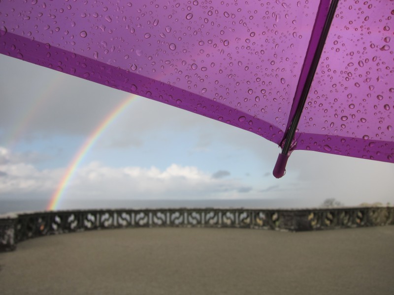 Jour de pluie, jour de sortie