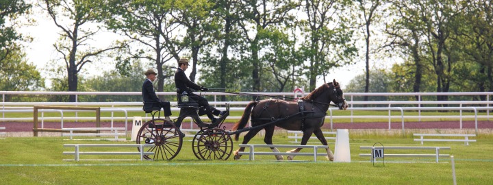 Kerjean - Concours d'attelage 2 - 2017