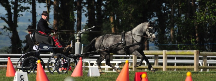 Kerjean - Concours d'attelage 3 - 2017