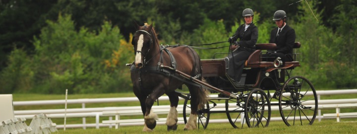 Kerjean - Concours d'attelage 4 - 2017