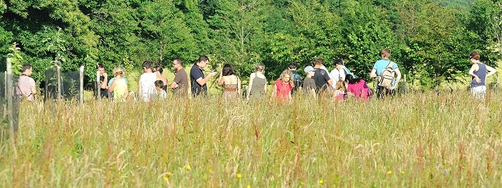Kernault - Un refuge pour la biodiversité - RDV aux jardins 2018