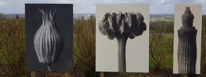 Trévarez - La nature pour modèle - Photo 2 - Expo 2019