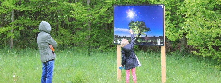 Kernault-Nuit- jardin-Expo 2019