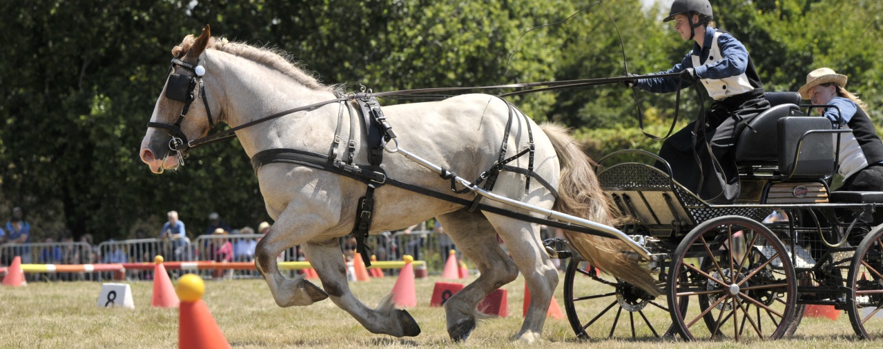 Kerjean - concours d'attelage 2018