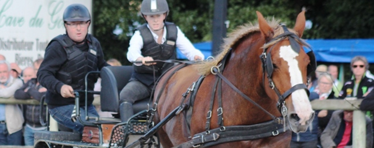 Trévarez -  Concours d'attelage  - 2019 - diapo 2