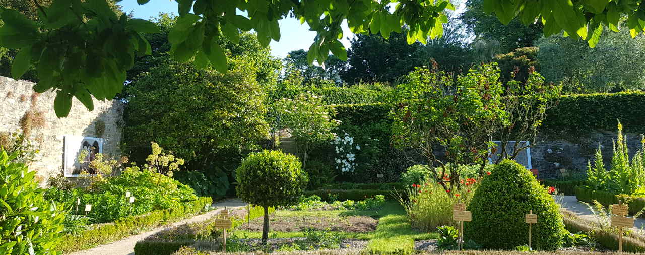 Daoulas - Balade au jardin