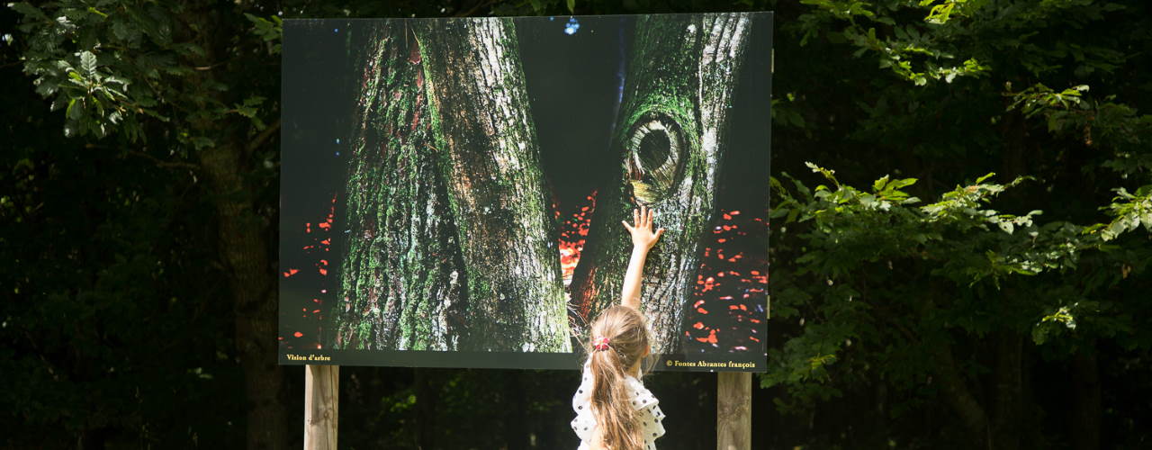 Kernault - Arbres en lumière - Photo avec enfant