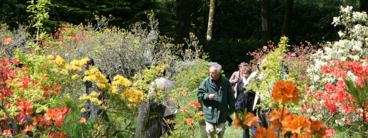 Festival du Rhododendron