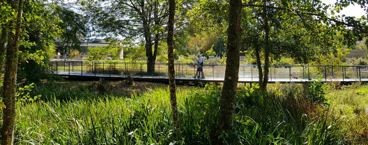 Daoulas - Rendez-vous aux jardins - Jardin des arbres médicinaux - Passerelle 2021