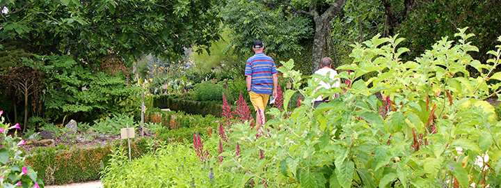 Daoulas - Balade aux jardins - GA