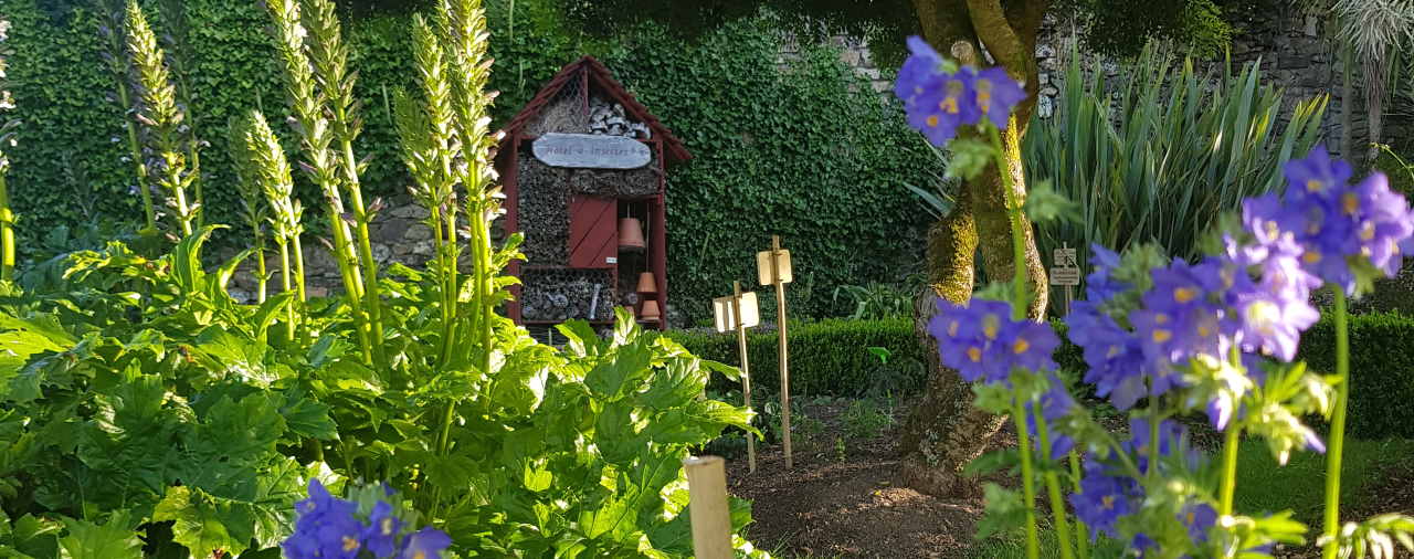 Daoulas - Une saison au jardin, le printemps - Famille