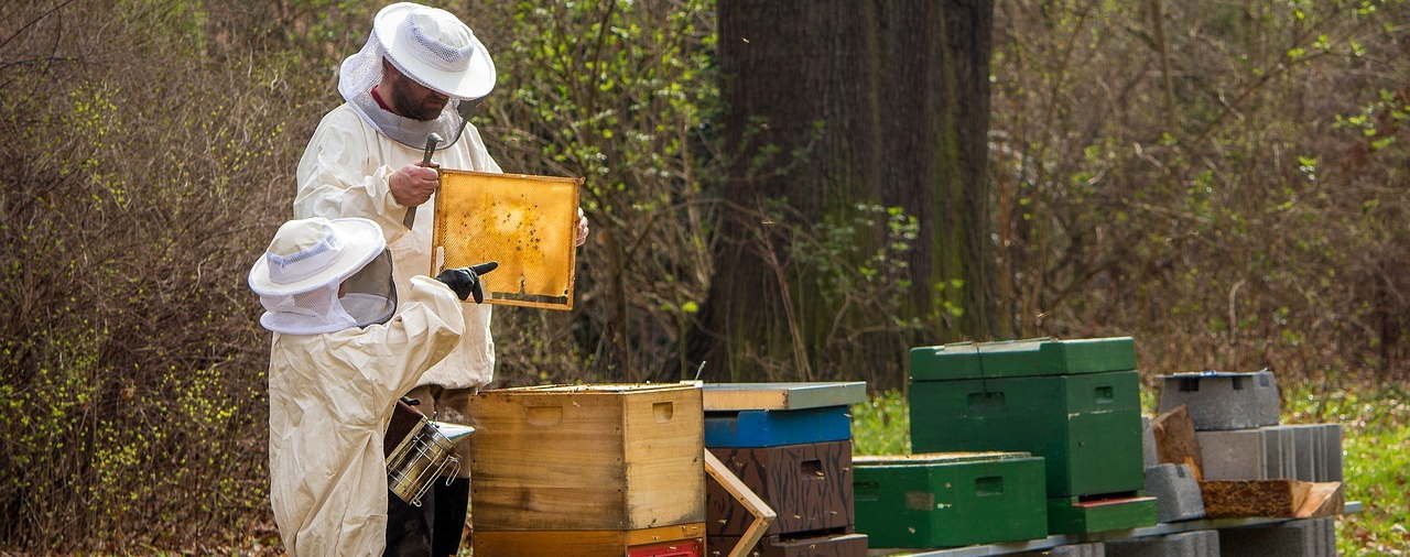 Kernault - Famille - Du miel et des abeilles - 2021