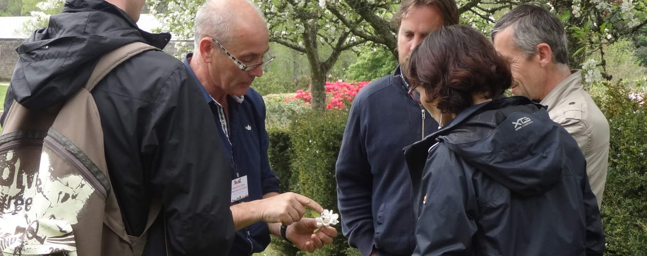 Trévarez - Famille Adulte - Ruches et plantes mellifères 2021