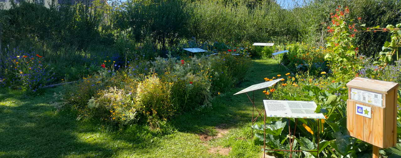 Relec - La fabrique du potager - Vue large - Expo 2021