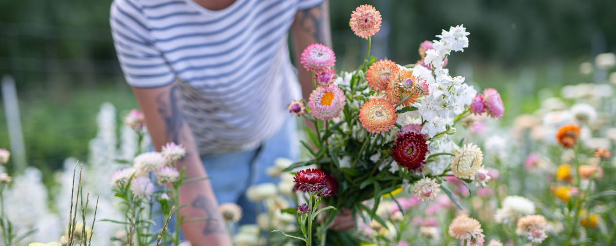 Relec - Atelier balade botanique : fleurs ornementales - La fabrique du potager en pratique - 2022