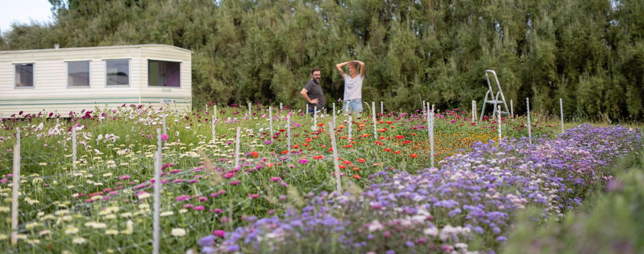 Relec - Atelier balade botanique : fleurs ornementales 2 - La fabrique du potager en pratique - 2022