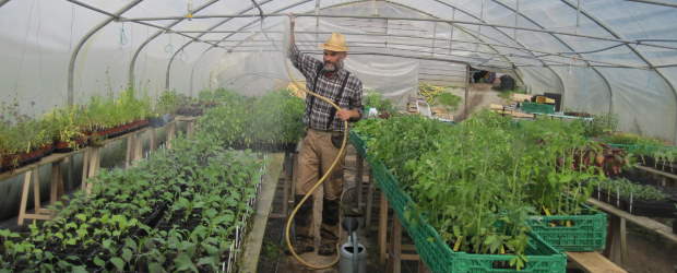 La fabrique du potager en pratique #3 : les semis sous abri Événement -  Chemins du patrimoine en Finistère