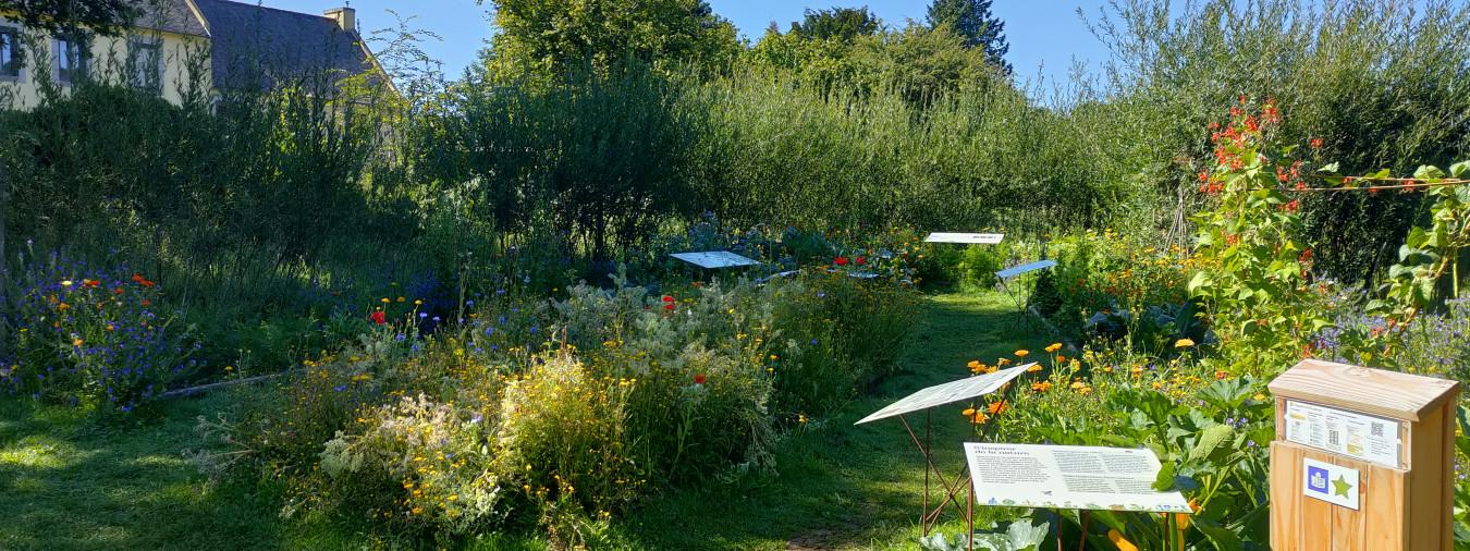 Relec - défis potager - groupes CS