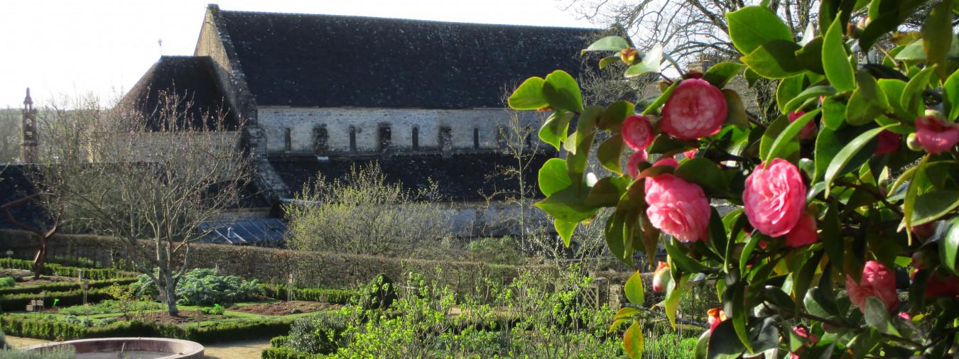 Daoulas - jardin des sens - groupes