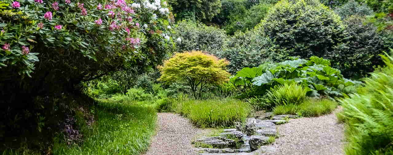 Domaine de Trévarez- Image - Activité Un parc, des jardins - Famille adulte