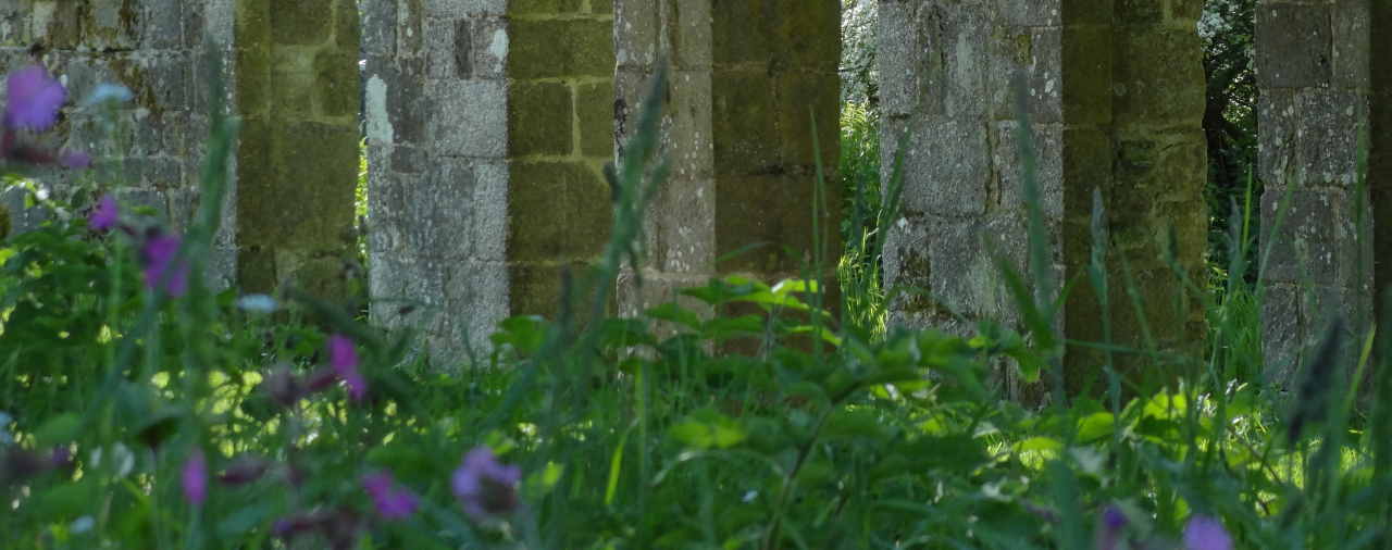 Abbaye du Relec - Image - Balade ethnobotanique 3