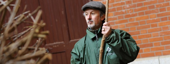 Lignées botaniques - Bob Verschueren