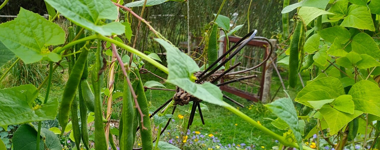 Abbaye du Relec - image Défi au potager
