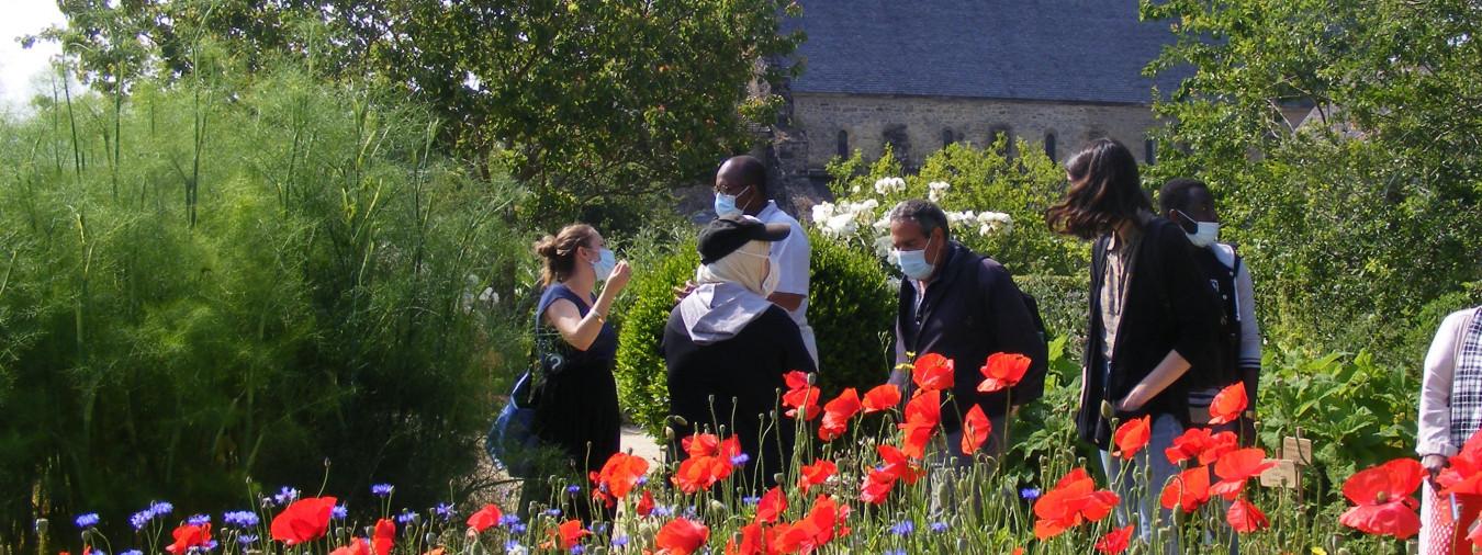 Abbaye de Daoulas - Visite accompagnée "Panorama" - Groupe adultes