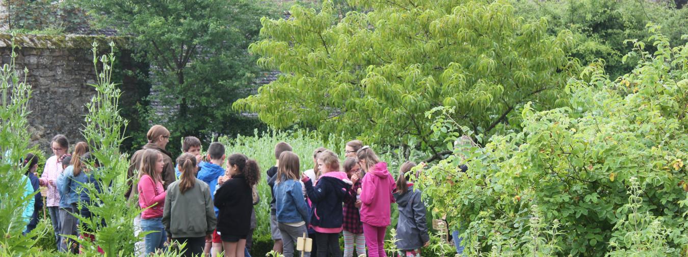 Abbaye de Daoulas - Voyage des plantes odeur