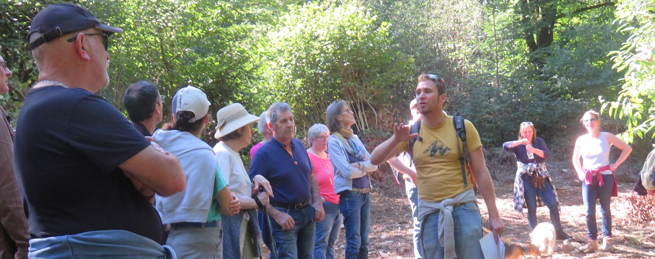 Domaine de Trévarez - image 1 Les envahisseuses