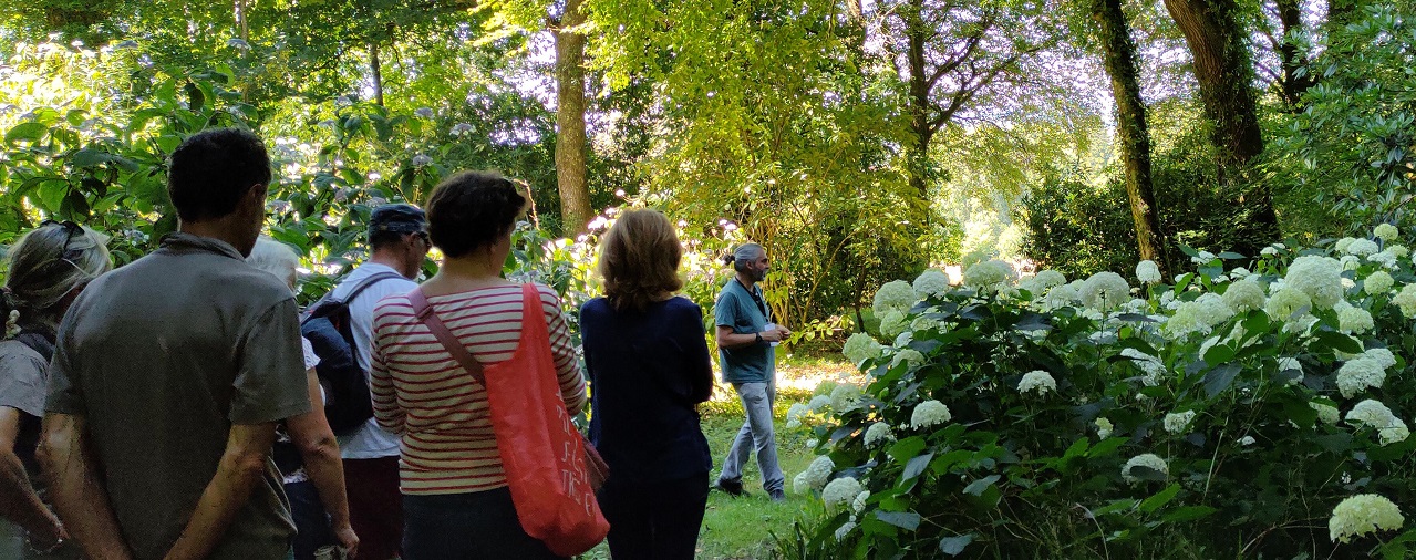 Domaine de Trévarez - image visite botanique Hortensia