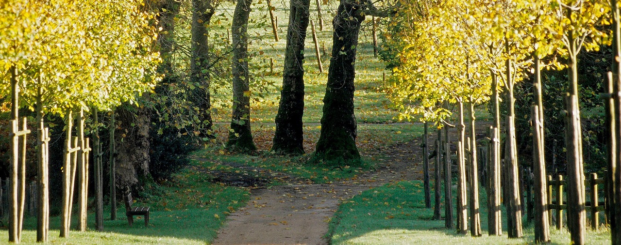 Manoir de Kernault - image Sport et méninges