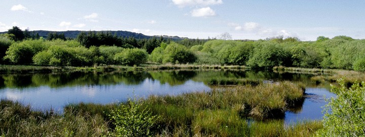 Etang de l'abbaye du Relec