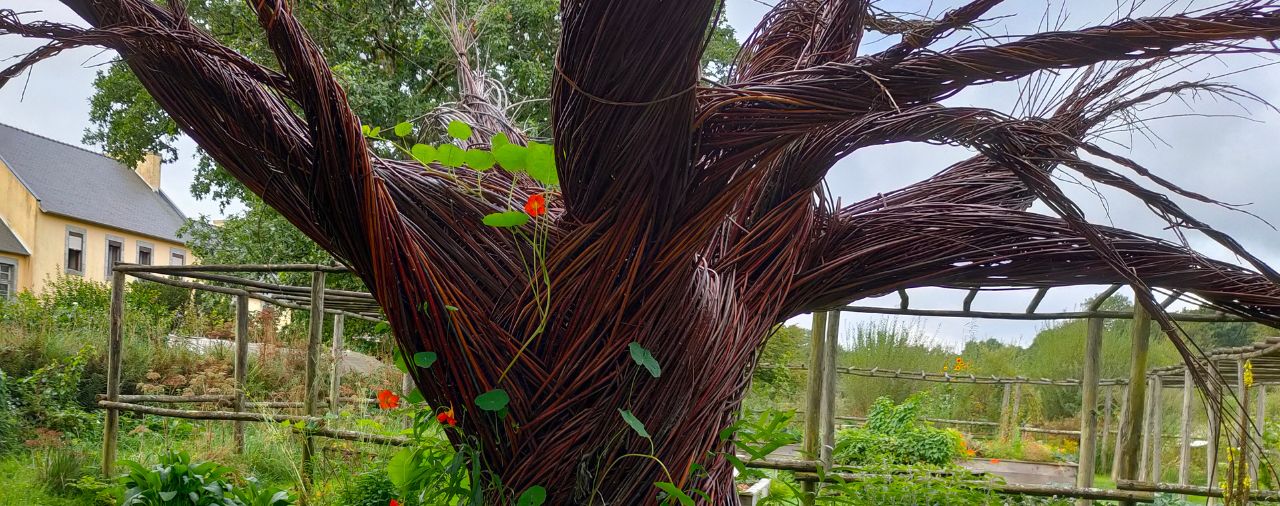 Abbaye du Relec - Au pied de mon arbre 2024 3